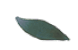list