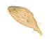 list