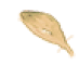 list