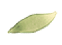 list